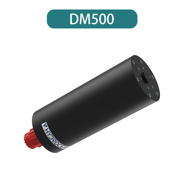 DM500 Gear Motor